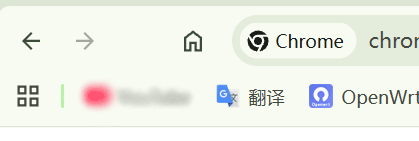 没有刷新按钮的谷歌浏览器.png 没有刷新按钮的谷歌浏览器.png