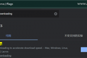 谷歌浏览器chrome flags设置打不开怎么办？