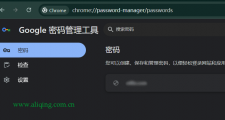 谷歌浏览器密码管理工具打不开怎么办？