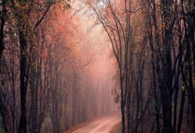 谷歌浏览器Windows版下载