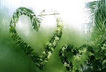 谷歌浏览器Windows版下载