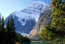 谷歌浏览器Windows版下载